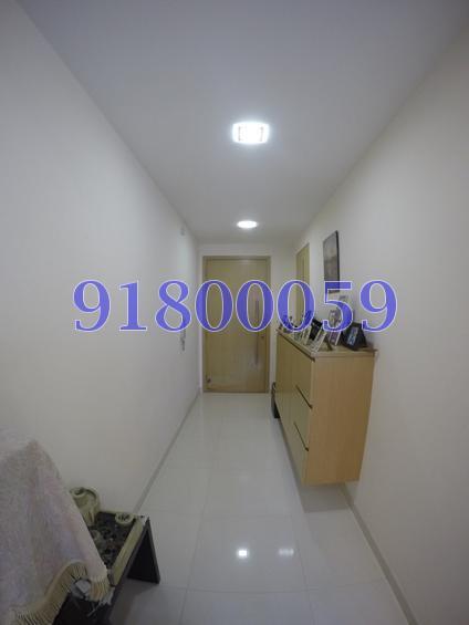 Oasis @ Elias (D18), Condominium #147919902